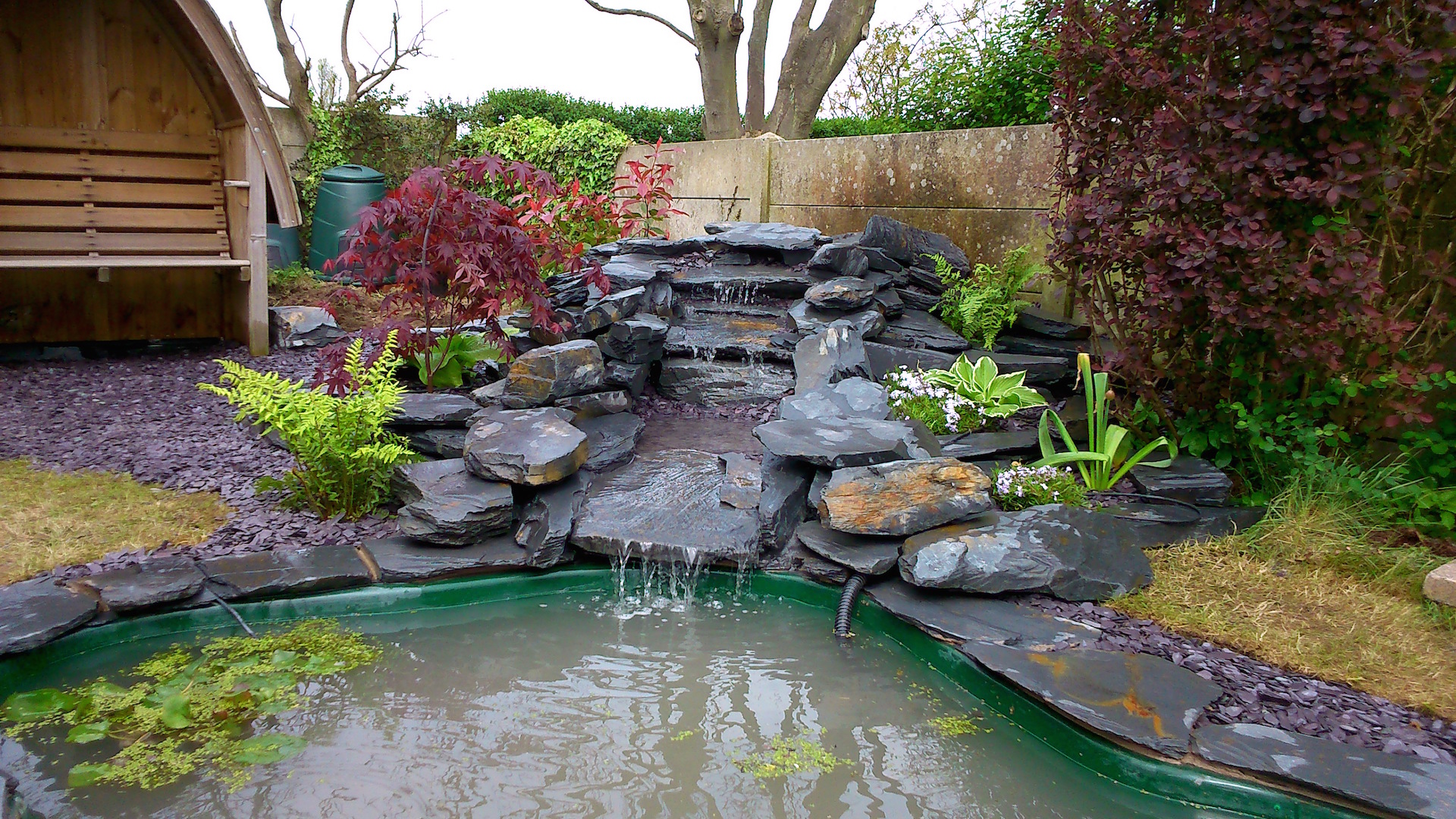 Bella Vista Gardens Landscaping Southport